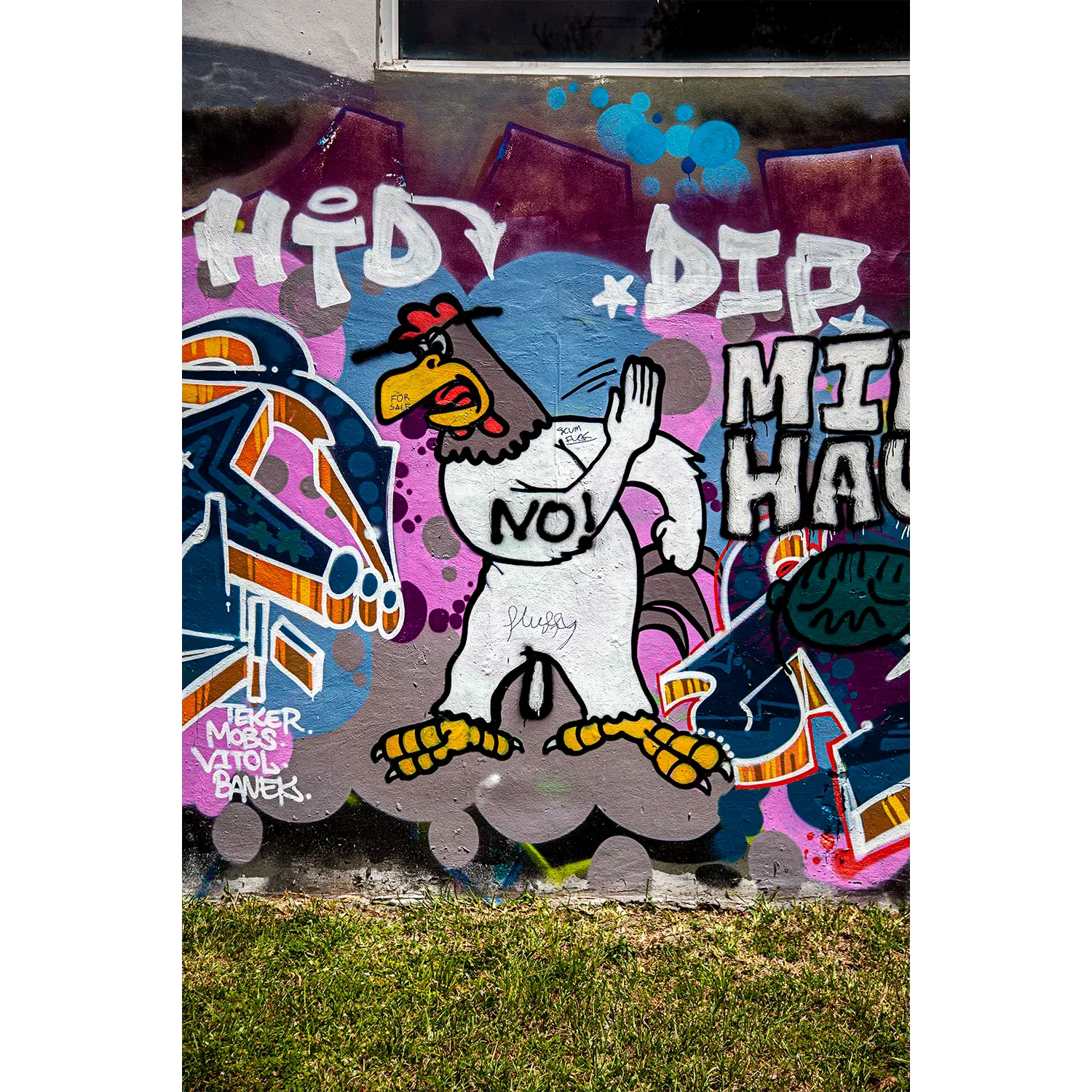 Portfolio